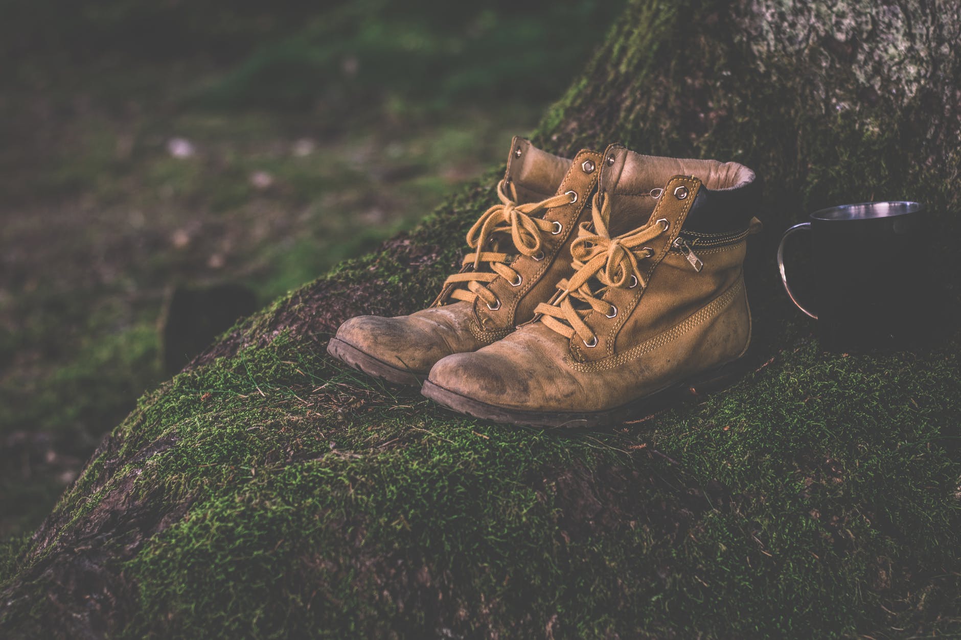 Chippewa Boots