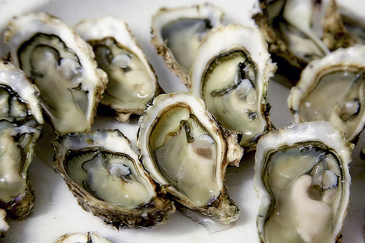 Oysters